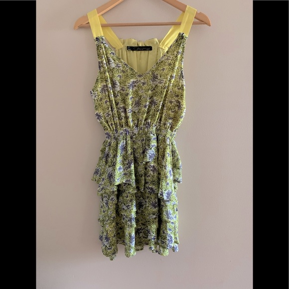 Patterson J. Kincaid Gardenia Dress - Picture 9 of 10